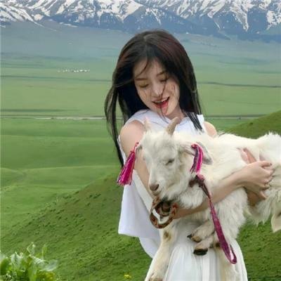 暹罗密码 海报